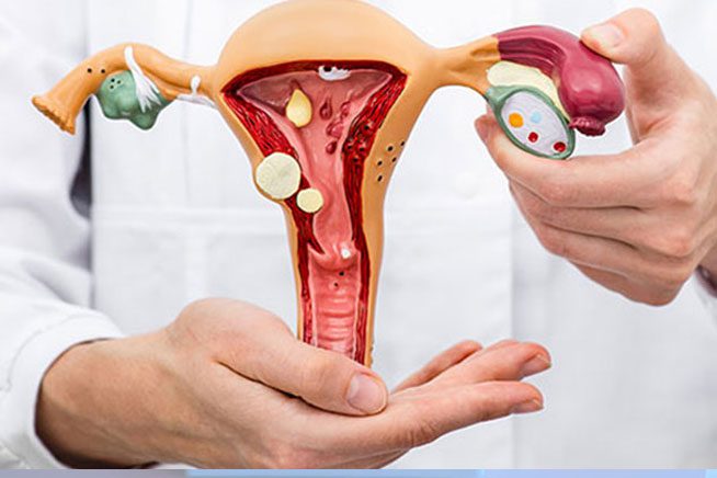 Gynecologic Cancer Surgeon in Mumbai